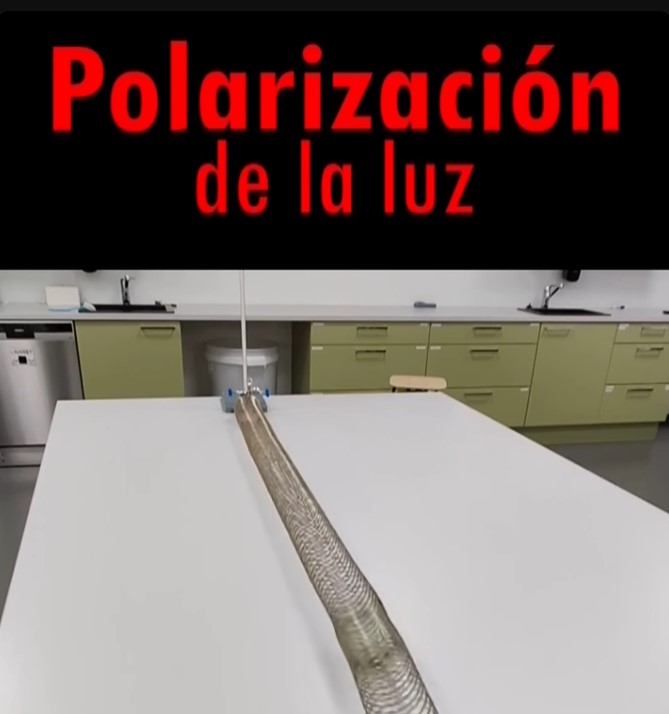 Qu Es La Polarizaci N De La Luz