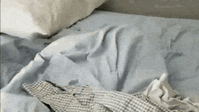 Cómo hacer una cama teniendo gato