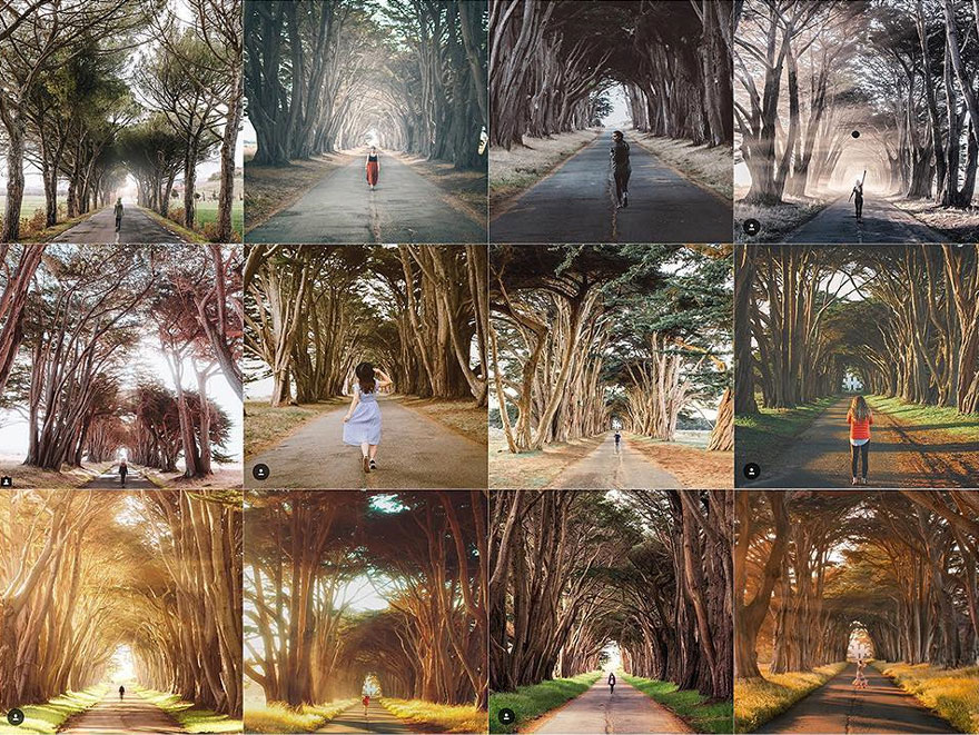 Alguien hizo estos collages para demostrar la cantidad de cuentas de Instagram iguales que hay