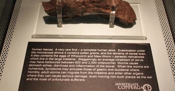 El ñordo humano fosilizado más grande del universo