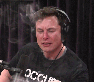 Ya está Elon dándole al verde otra vez...