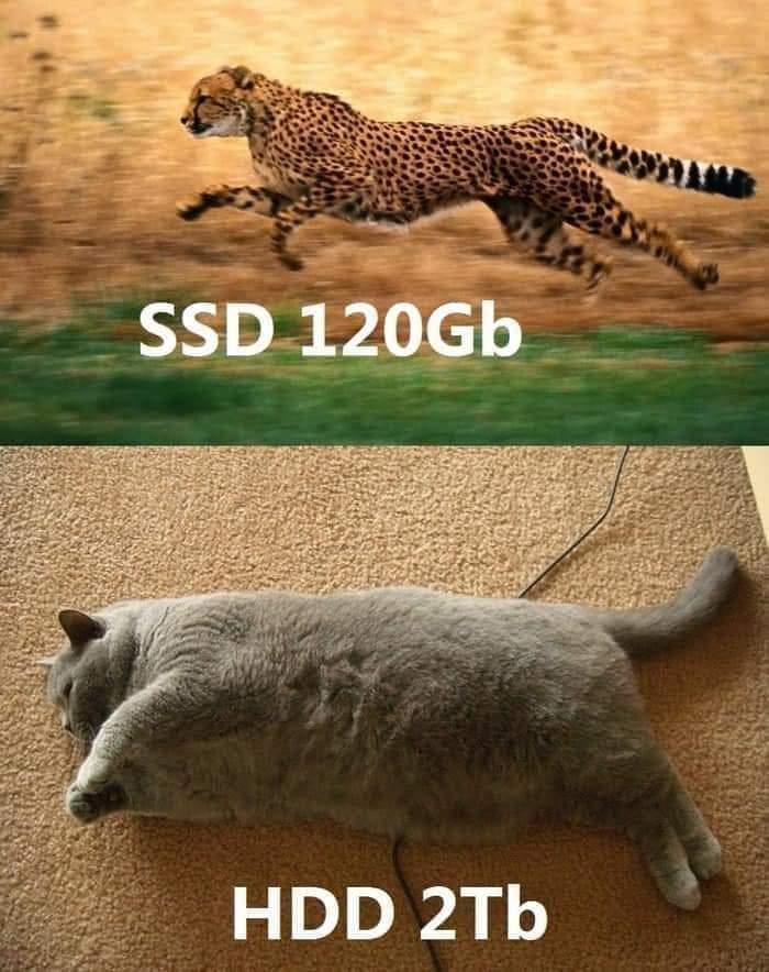 La mejor forma de ilustrar la diferencia entre los HDD y los SSD