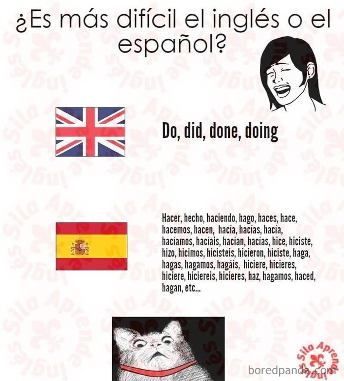 Cómo ven nuestro idioma los angloparlantes que intentan aprender español