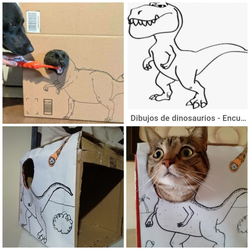 Un finolier nos enseña a su Tiranosaurus Cat