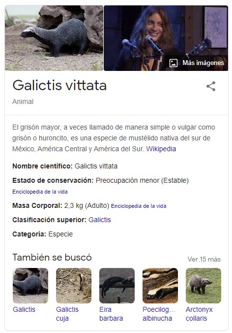 Depende de la carrera... si hiciste ingeniería de caminos en Burgos... ASÍ ES