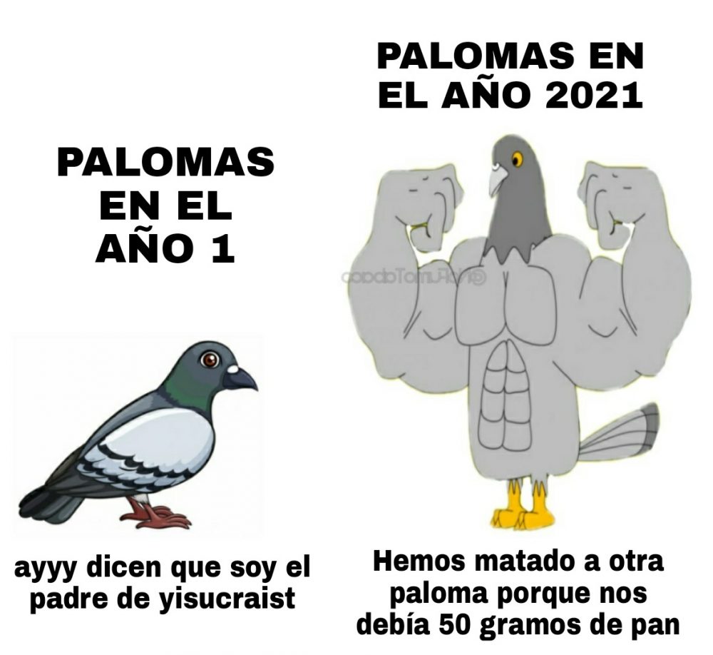 Rompió la primera regla del paloma-club de la lucha