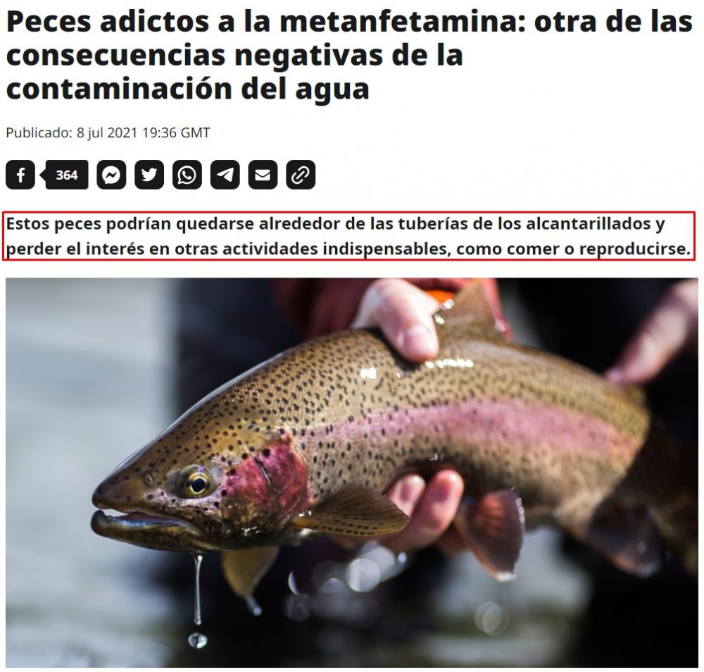 Los peces se están adaptando a la vida moderna