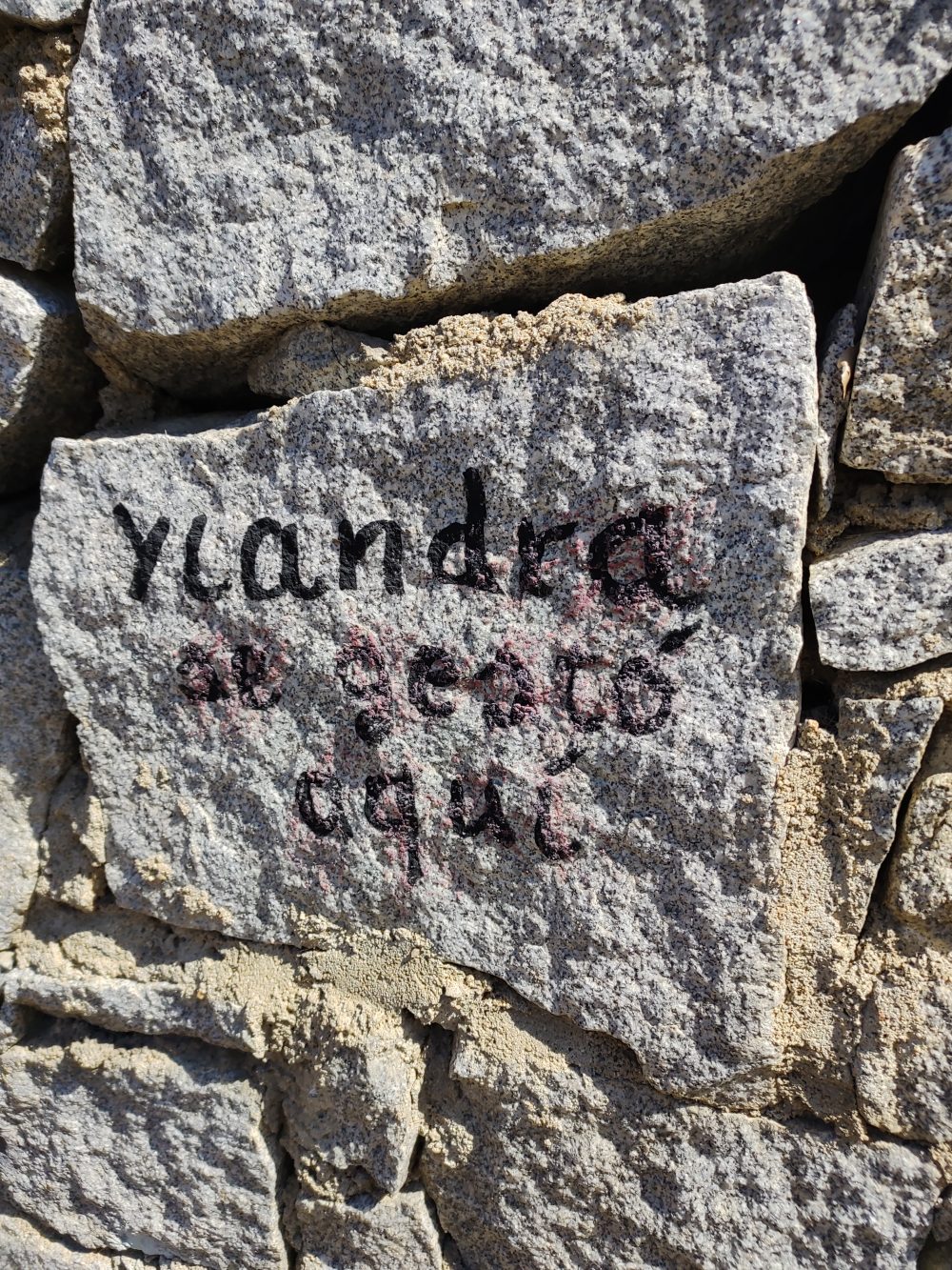Pobrecita Ylandra, gestada en el muro de un frontón abandonado.