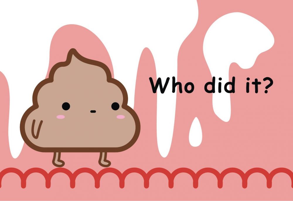 Whay The PooP: aventuras en Detroit.