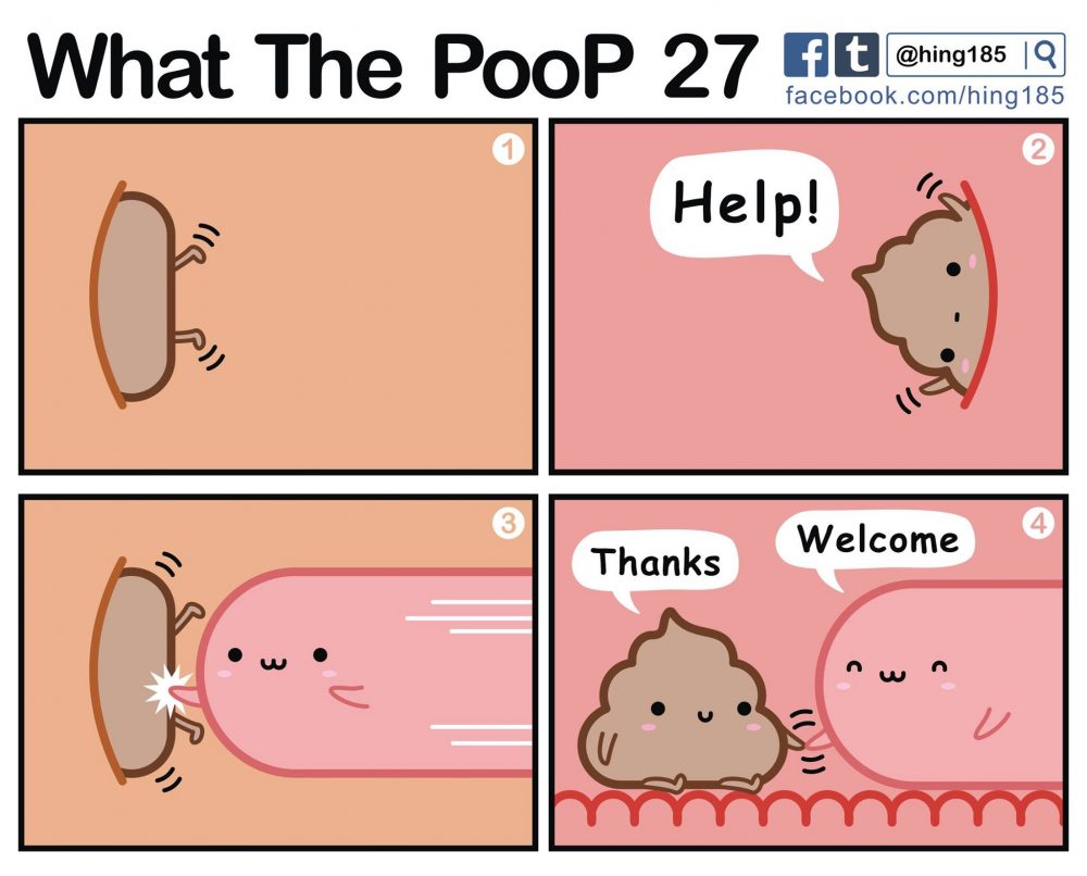 Whay The PooP: aventuras en Detroit.
