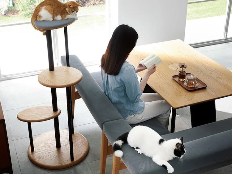 Una mesa de comedor creada para que tu gato pueda ser el centro de atención incluso mientras comes
