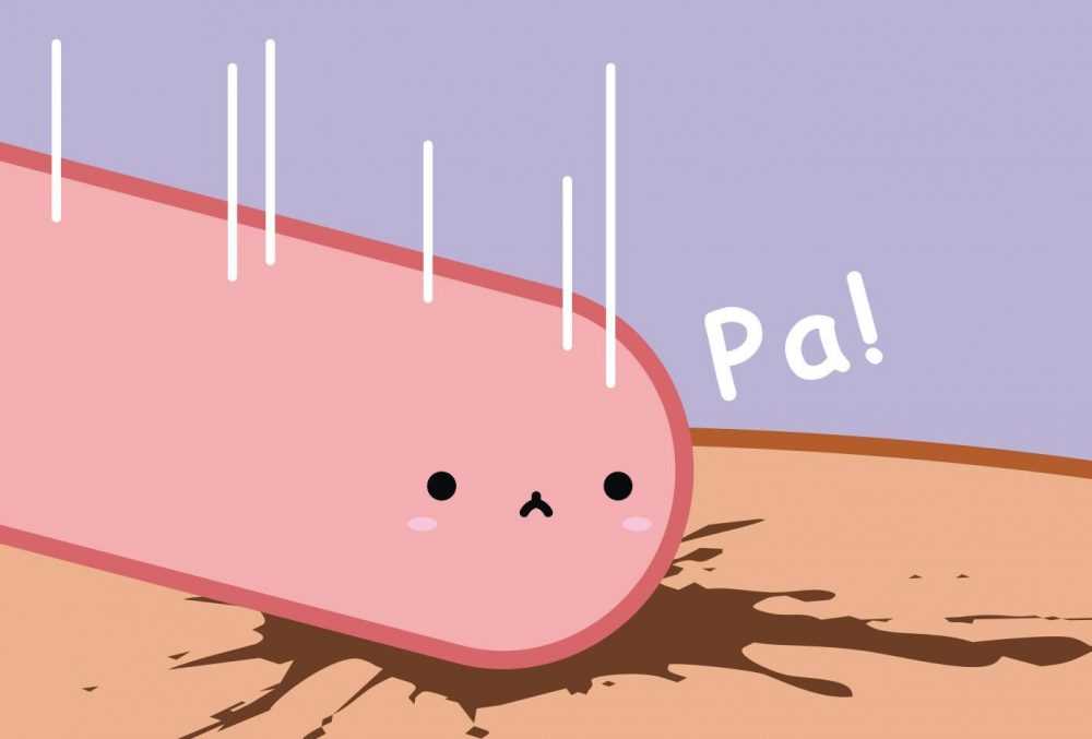 Whay The PooP: aventuras en Detroit.