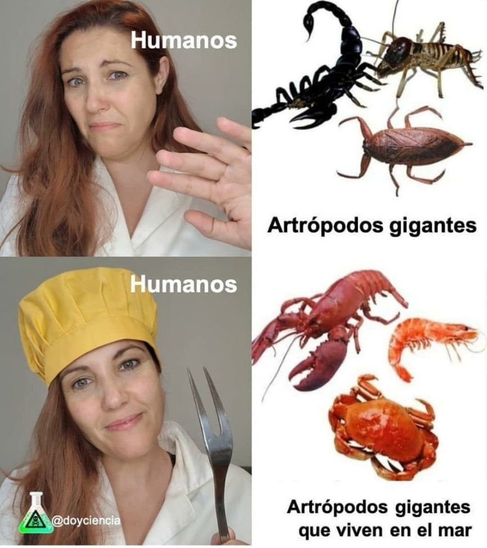 Hipocresía culinaria