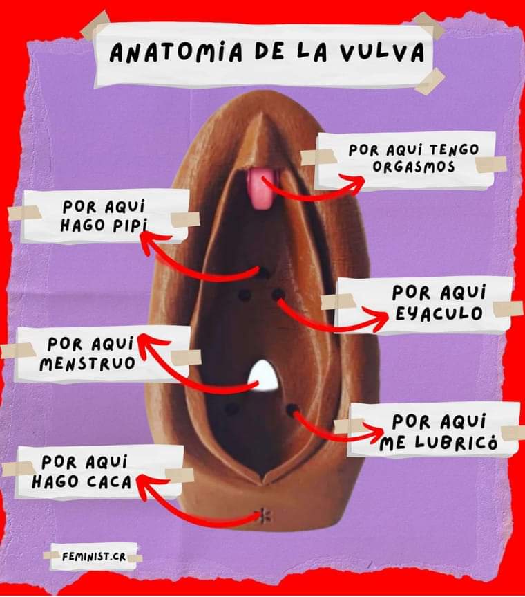 Voy a tener que llevarme los apuntes...