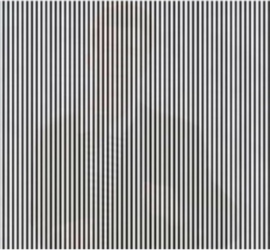 Agita la cabeza rápidamente para ver la imagen