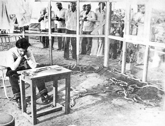 El hombre que batió un record en 1986 al pasar 72 horas dentro de una jaula con 72 de las serpientes más venenosas del mundo.