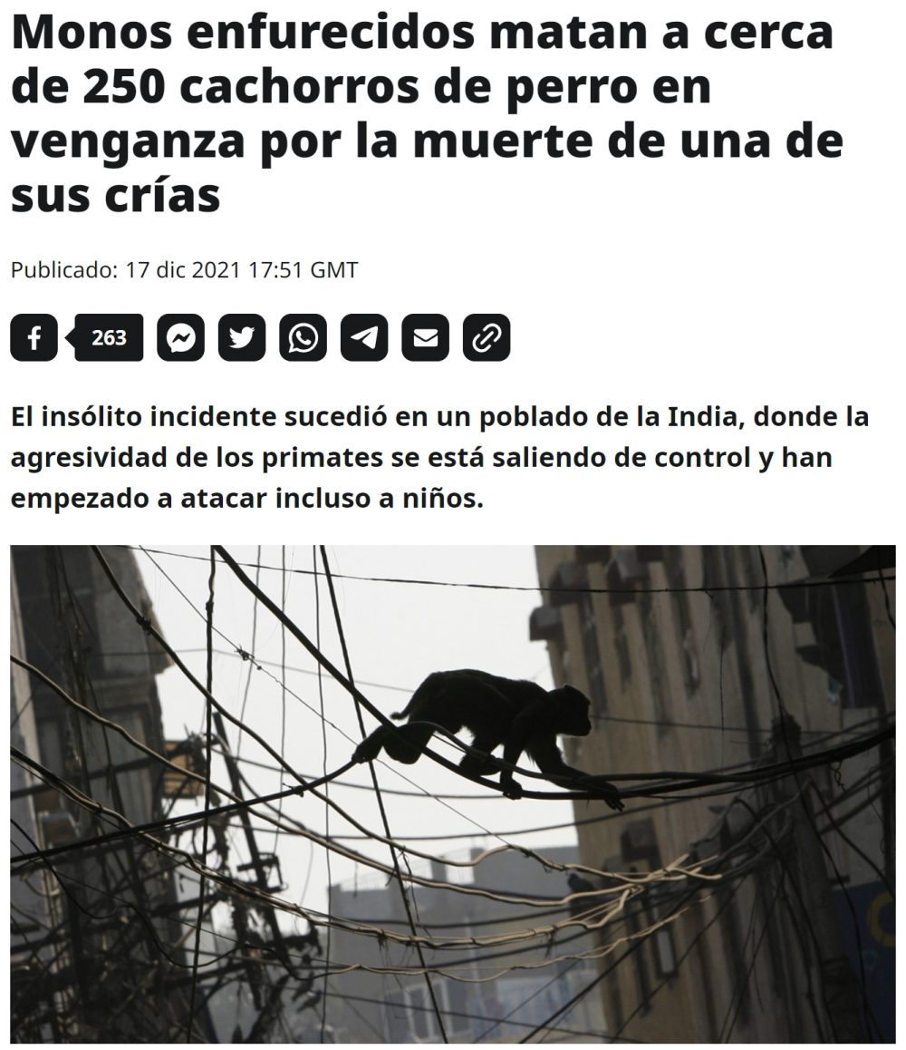 En el mundo animal también hay vendettas