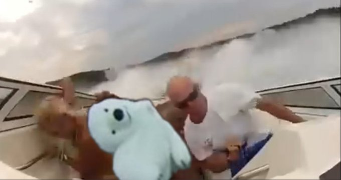 El oso de la cabalgata de Cádiz pide chops