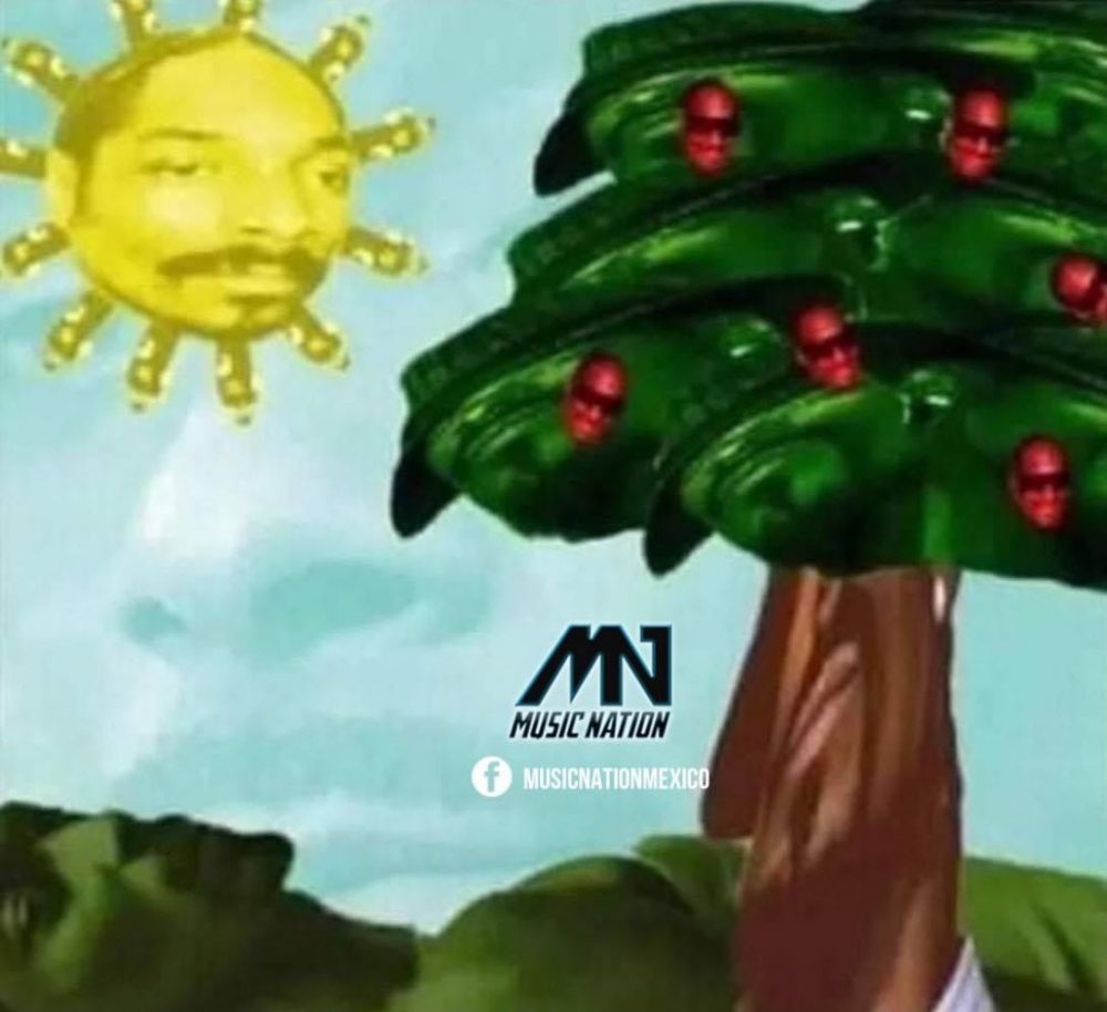 Cuanto más miras la imagen, más Snoop Doggs aparecen