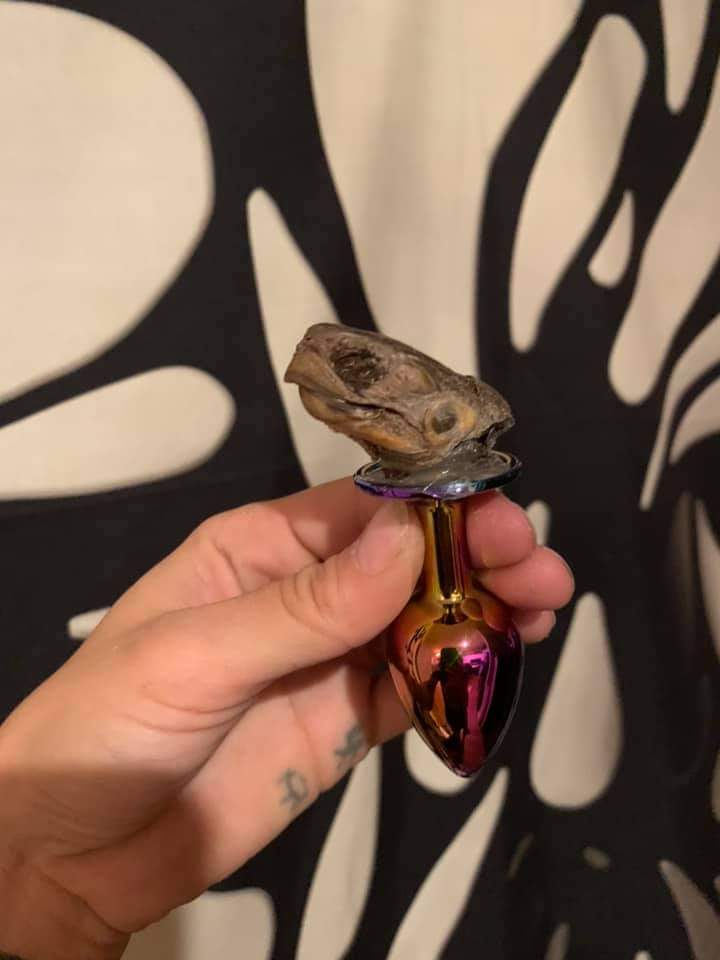 "Me está asomando la tortuga"