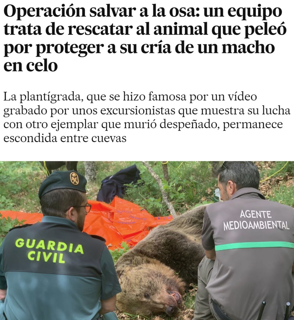Luchando contra el patriarcado animal