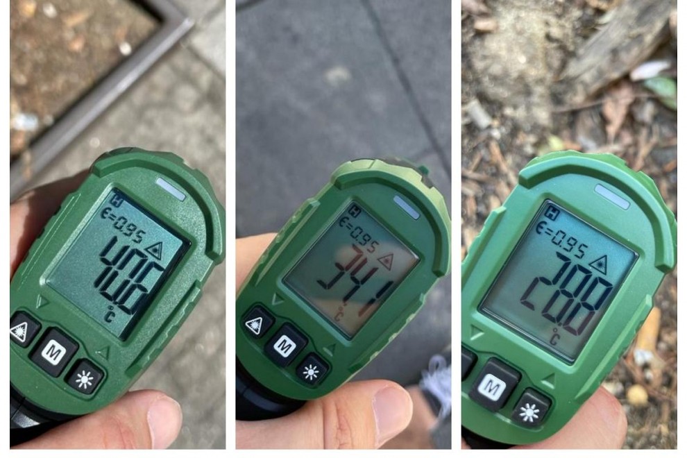 Los árboles y las zonas ajardinadas disminuyen las temperaturas en las ciudades. Quién lo iba a imaginar...