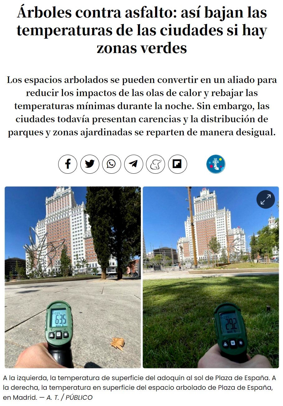 Los árboles y las zonas ajardinadas disminuyen las temperaturas en las ciudades. Quién lo iba a imaginar...