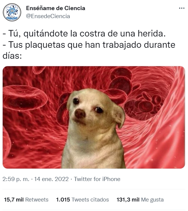 Daño amigo