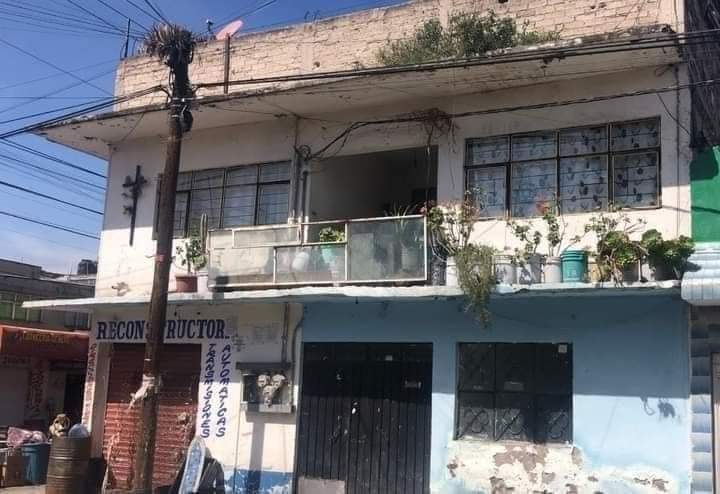 Méjico: detienen al dueño de una taquería que usaba carne de perro para sus tacos