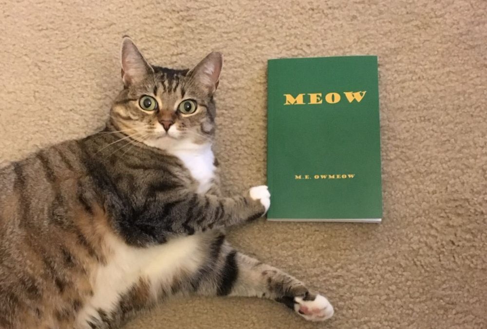 Meow