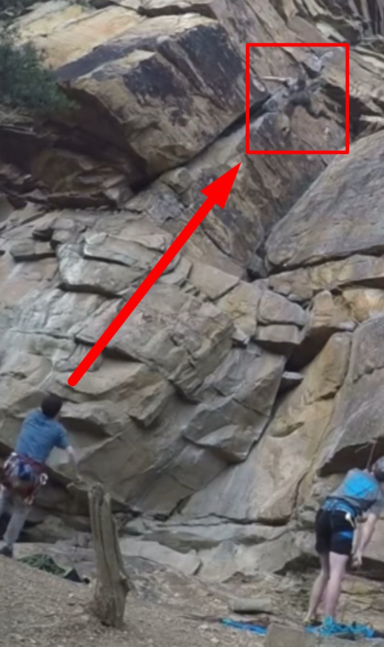 Así suena el grito de alguien que cree que va a morir