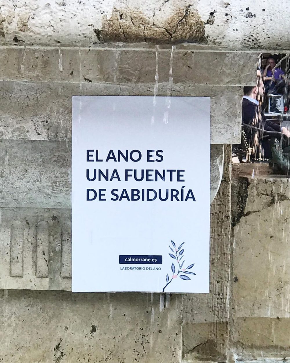 Si yo lo he visto, vosotros también