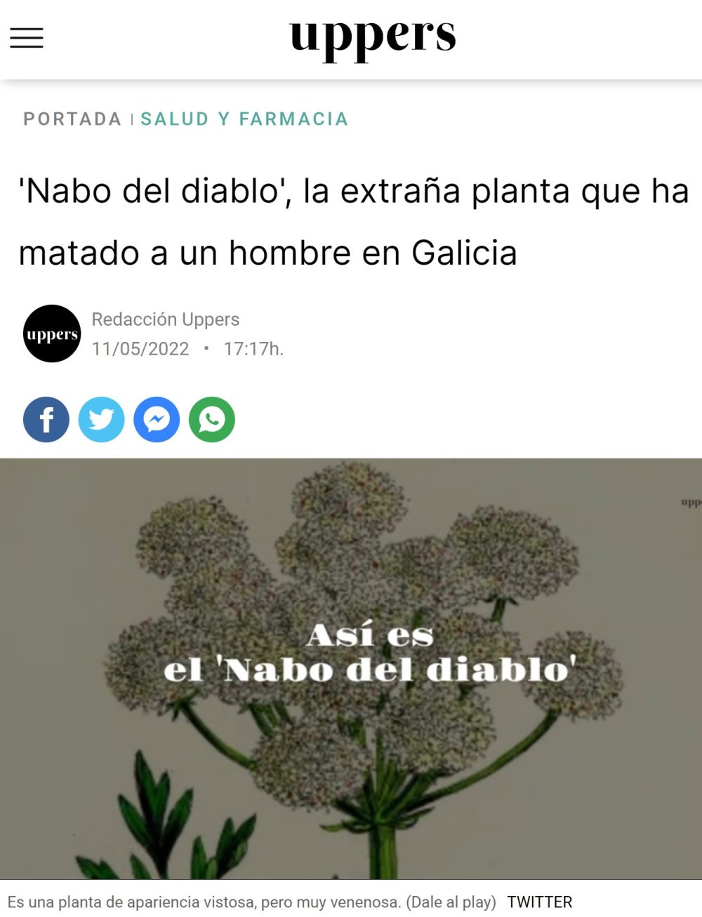 Cuidado con los nabos que os metéis en la boca