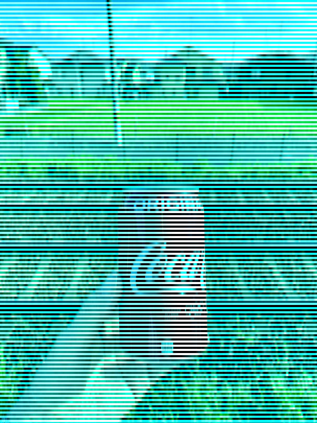 No hay píxeles rojos en esta imagen de una lata de Coca-Cola