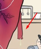 "EL AMOR DE TU VIDA"