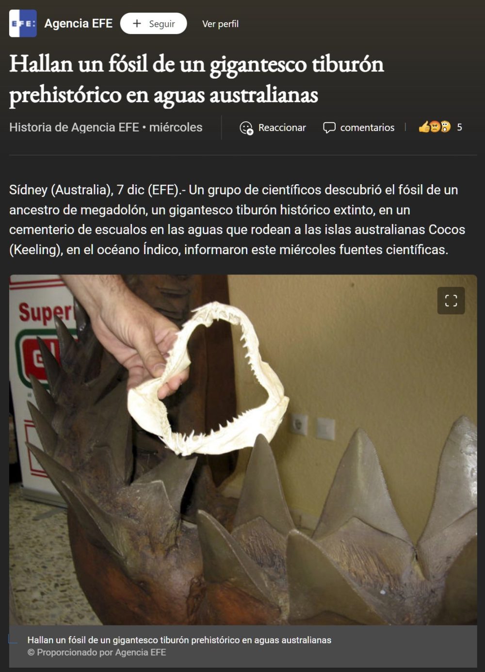 Encuentran un diente gigante de megalodón