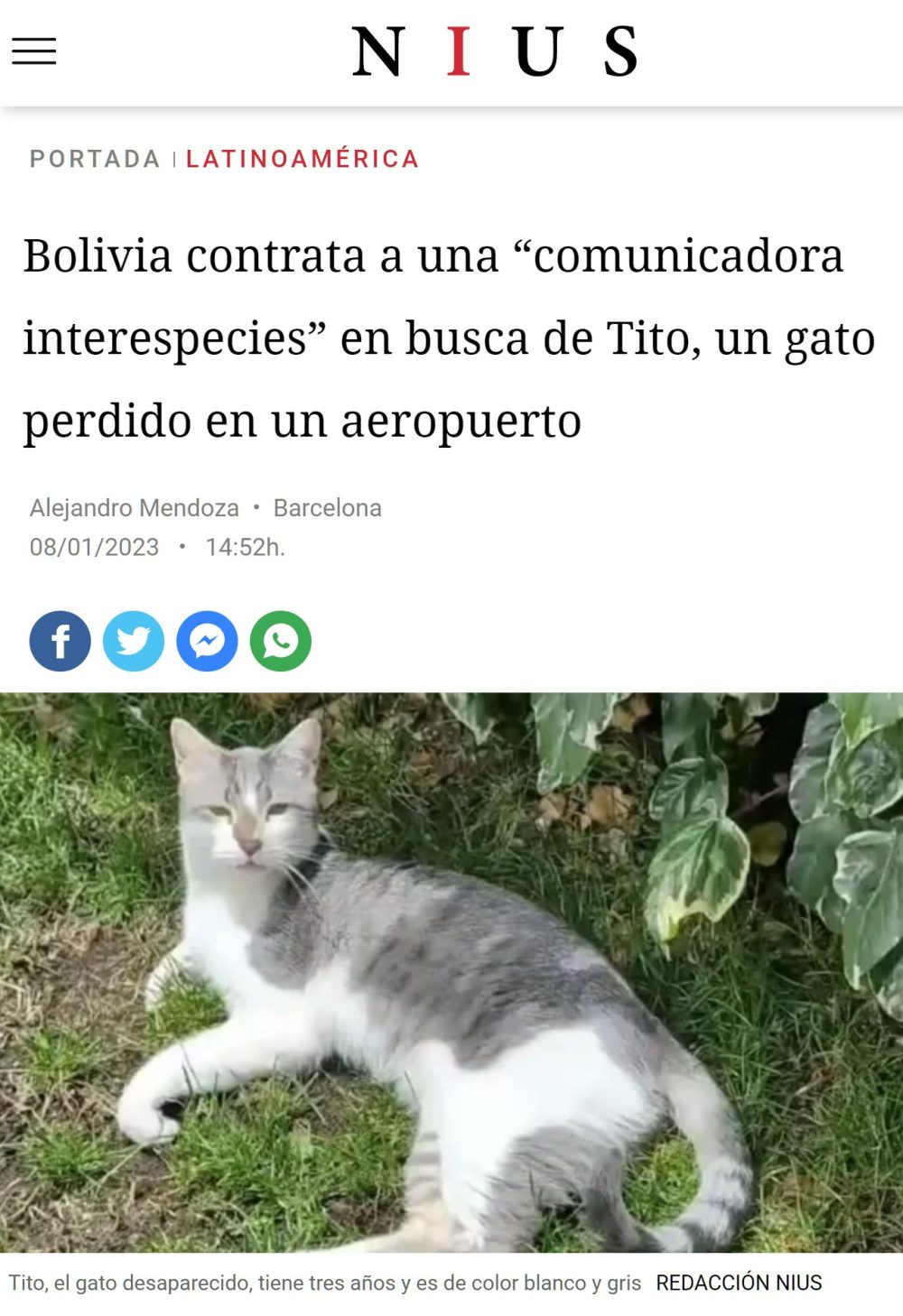 Bolivia ficha a una "comunicadora interespecies" para que busque a un gato perdido en un aeropuerto usando la "conexión de energías"