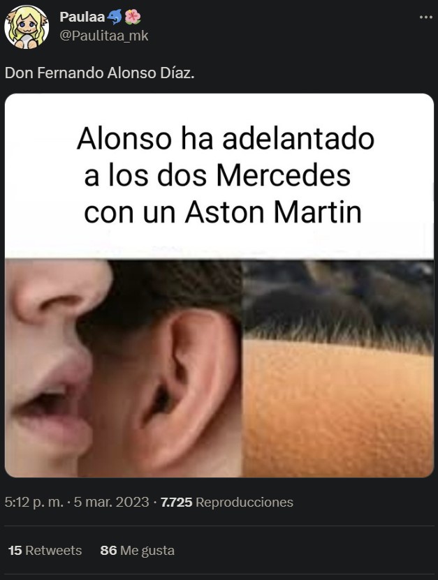 Los mejores memes y vídeos de la carrera de ayer en la que Fernando Alonso quedó 3º