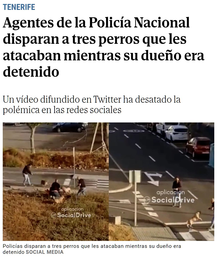 Agentes disparan contra tres perros que les atacaron mientras detenían a su dueño