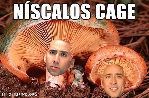 El post importante del día