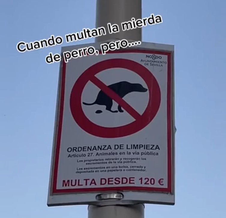 En Sevilla te multan con 120 euros si no recoges las heces de tu perro, pero...