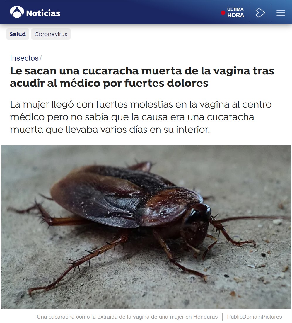 "las cucarachas tienden a preferir lugares oscuros y húmedos para esconderse y reproducirse", y pueden "aplanar sus cuerpos para caber en áreas estrechas"