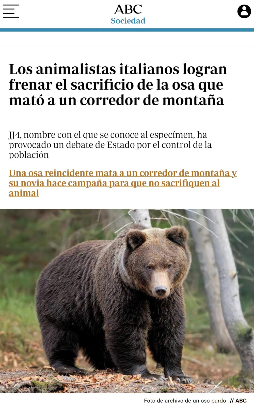 Sos inimputable, hermana