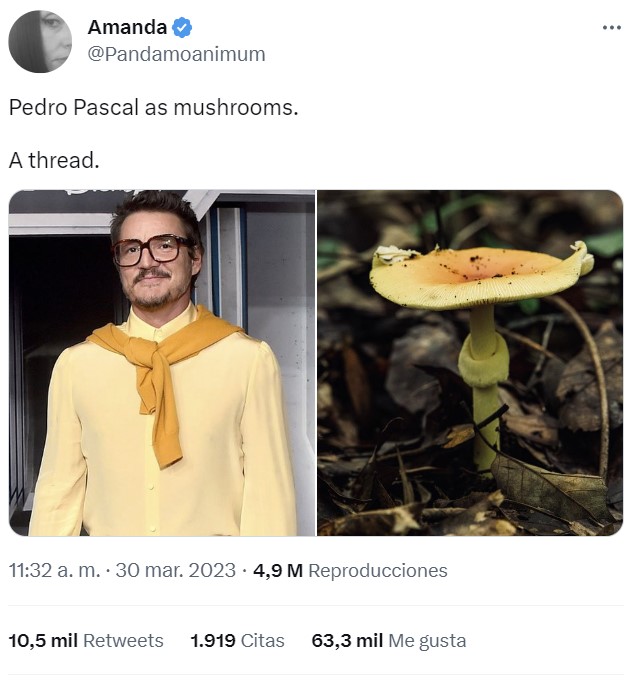 Pedro Pascal es una seta