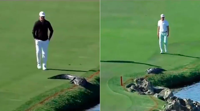 Hay dos tipos de personas a la hora de afrontar los problemas