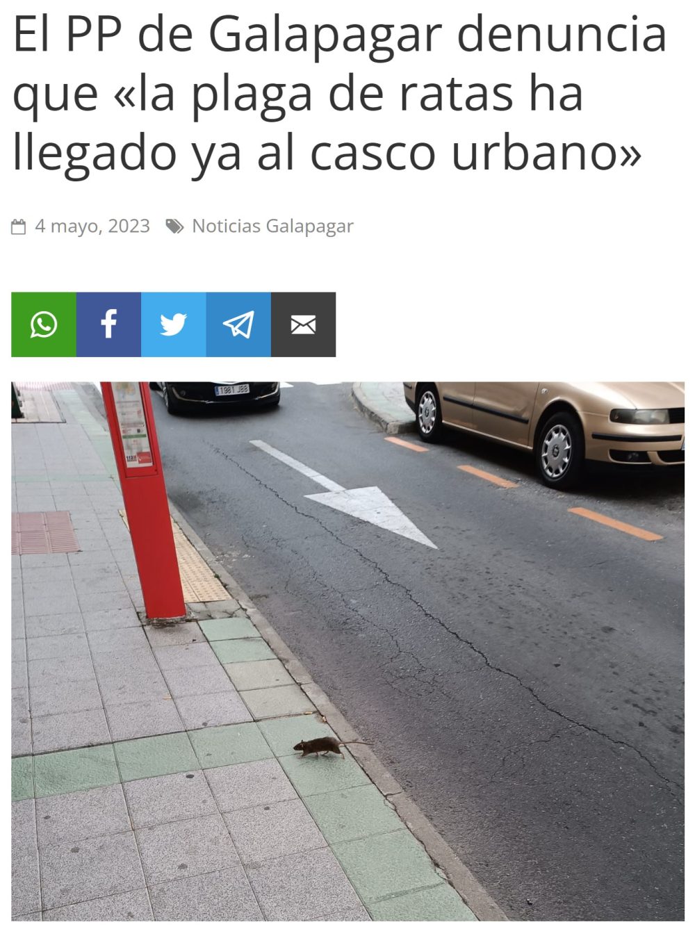 "El PP ha denunciado que la plaga de ratas que comenzó en La Navata ha llegado ya al casco urbano de Galapagar"