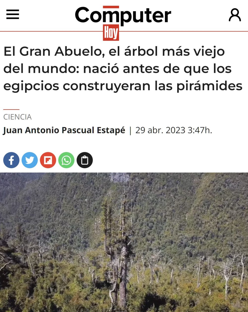 Lo plantó Jordi Hurtado en su comunión.