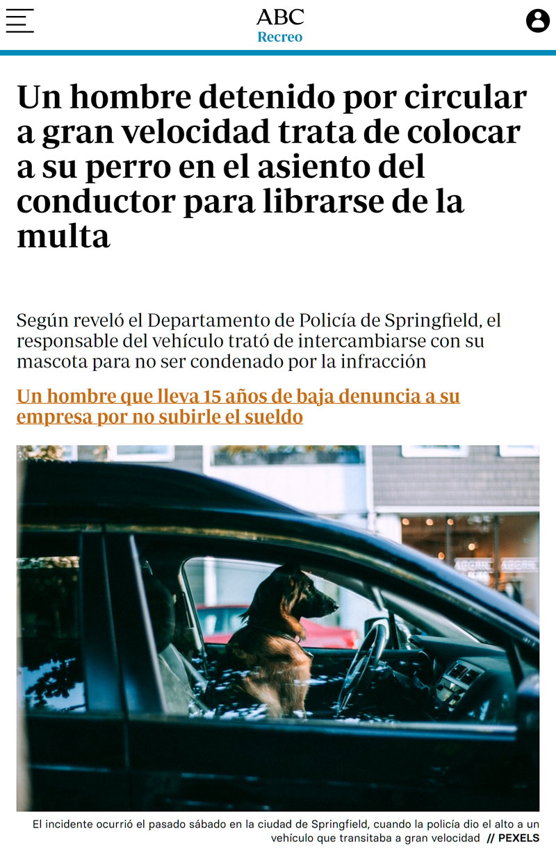 De los creadores de "mi perro se comió los deberes", llega...