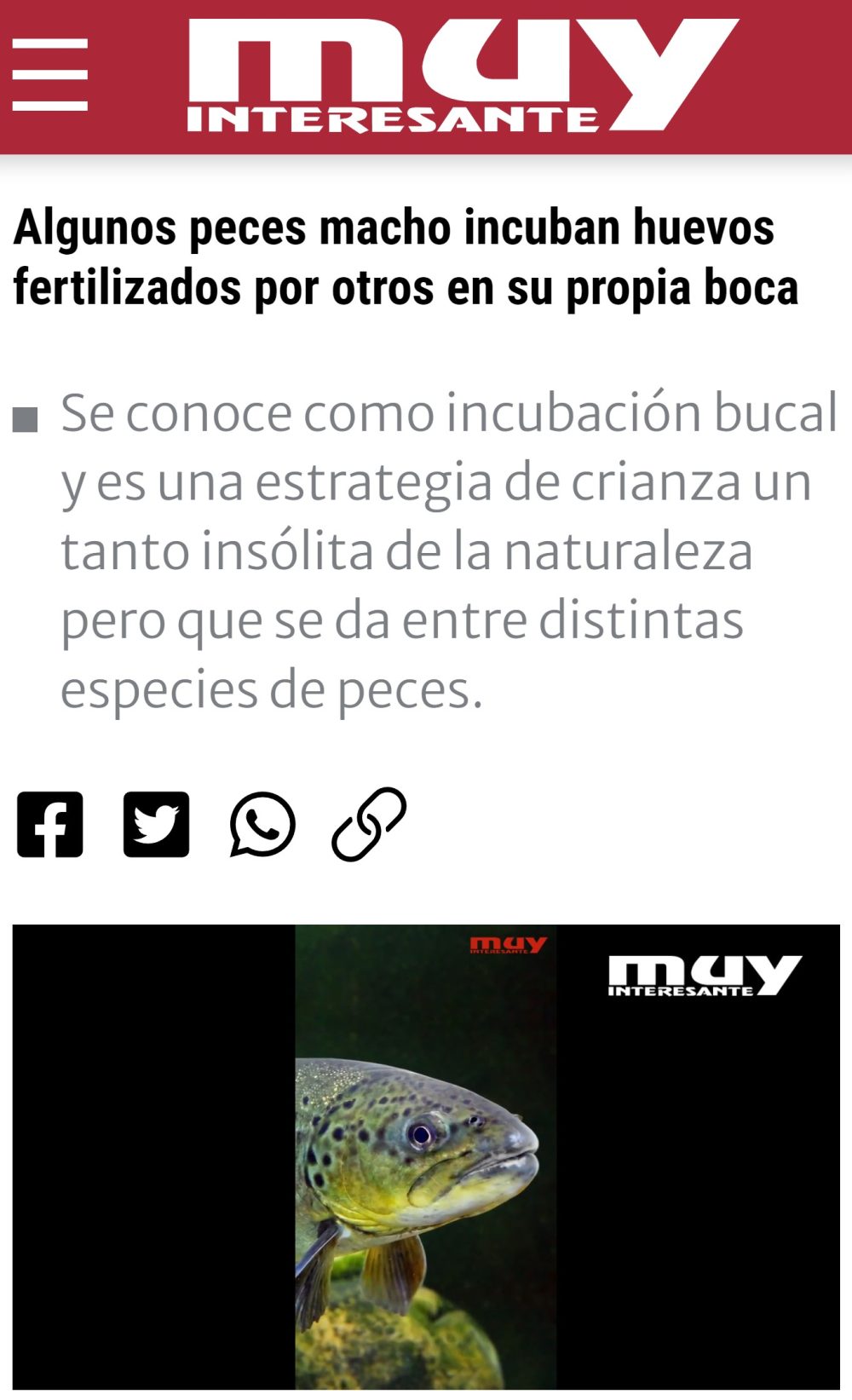 En el mundo subacuático también hay empujacarritos