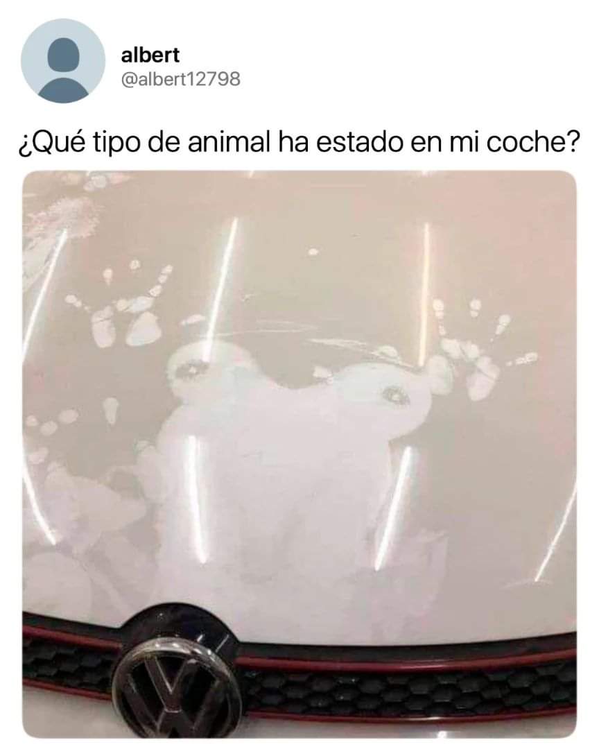 Ese Golf GTI ha visto cosas...